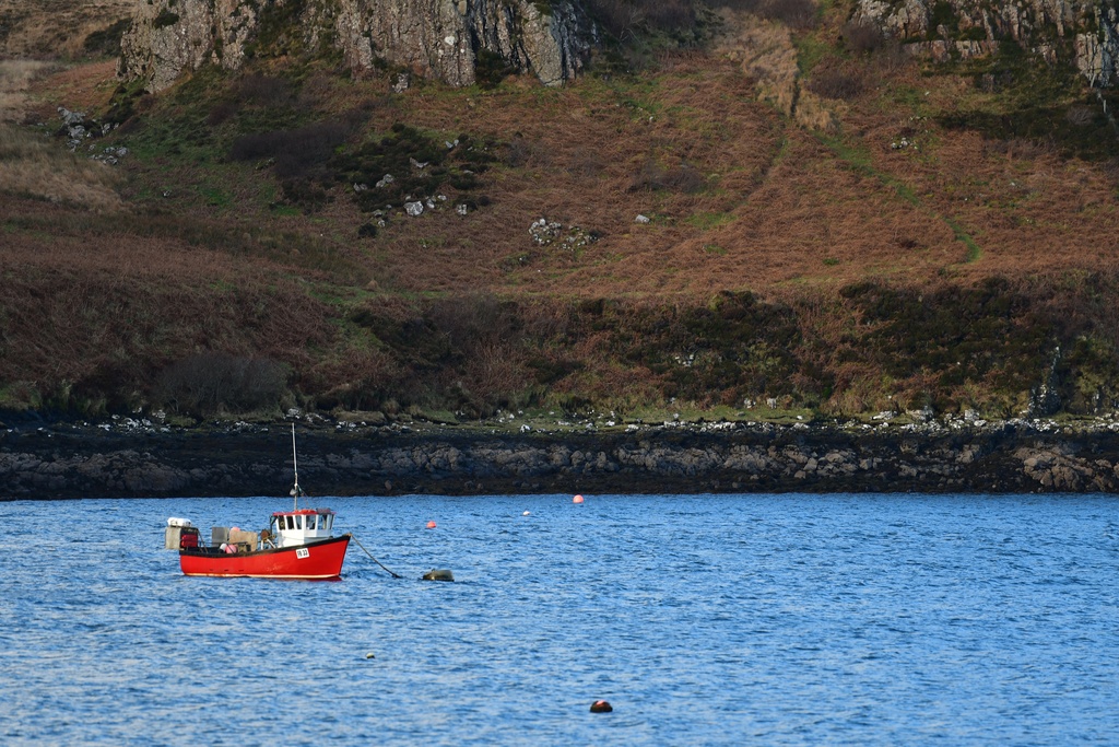 2018-11 Scotland/Portnalong/DSC_7305.JPG